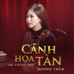 Cánh Hoa Tàn Mẹ Chồng OST - Hương Tràm