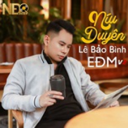 Níu Duyên NĐQ EDM Remix 2 - Lê Bảo Bình